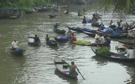 অস্থিরতা কাটিয়ে জমজমাট আমড়ার ভাসমান হাট
