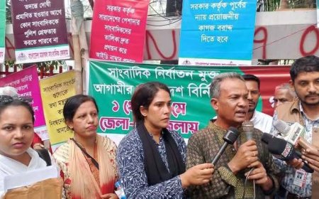 রাষ্ট্রযন্ত্র সাংবাদিকদের সাথে সবসময় তামাশা করে: বিএমএসএফ