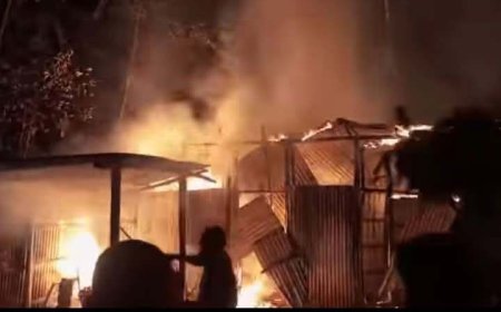 ঘোড়াঘাটে অগ্নিকান্ডে একটি গরুসহ২লাখ টাকার মালামাল ভস্মিভুত