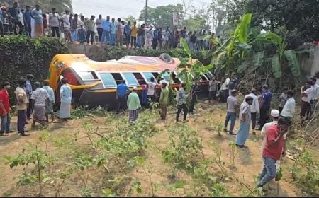 হাটহাজারীতে নিয়ন্ত্রণ হারিয়ে দ্রুতগতির বাস খাদে: আহত ১০।
