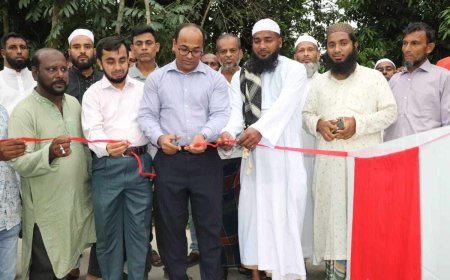 নলছিটিতে সড়কের নির্মান কাজ উদ্বোধন করলেন ইউএনও