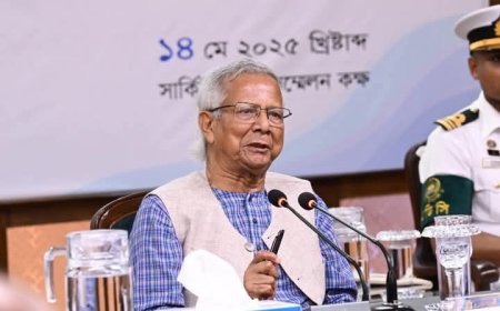 হাটহাজারী-কর্ণফুলীতে দুটি হাসপাতাল নির্মাণের পরিকল্পনা করা হচ্ছে: স্বাস্থ্য উপদেষ্টা। 