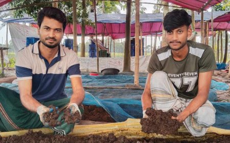 রংপুরে কেঁচো সার উৎপাদন করে স্বাবলম্বী হয়েছেন তরুণ উদ্যোগক্তা: