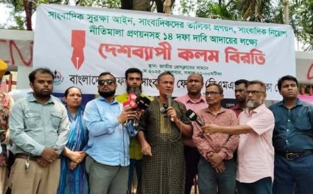 সাংবাদিকদের কঠোর আন্দোলনে নামতে বাধ্য করবেন না: বিএমএসএফ