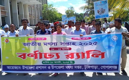 টুঙ্গিপাড়ায় মৎস্য অবমুক্তর মধ্য দিয়ে শুরু হল জাতীয় মৎস্য সপ্তাহ ২০২৫ উদযাপন