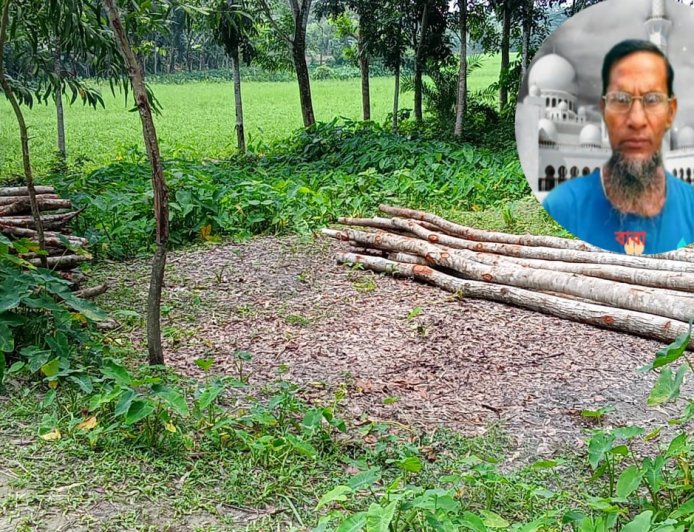 ‎বেতাগীতে সরকারি গাছ বিক্রির অভিযোগ সাবেক পোস্টমাস্টার নুরুল ইসলামের বিরুদ্ধে , বিক্রিত ১৪ টি গাছ জব্দ বন কর্মকর্তা ।