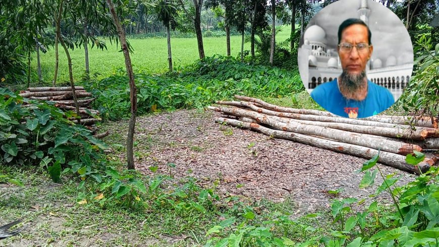 ‎বেতাগীতে সরকারি গাছ বিক্রির অভিযোগ সাবেক পোস্টমাস্টার নুরুল ইসলামের বিরুদ্ধে , বিক্রিত ১৪ টি গাছ জব্দ বন কর্মকর্তা ।