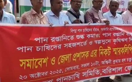 বরিশালে পান চাষিদের বিক্ষোভ সমাবেশ।