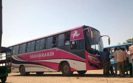 নাগরপুরের মামুদনগর বাস স্ট্যান্ড হতে ঢাকা-নাগরপুর বাস সার্ভিস পুনরায় চালু  